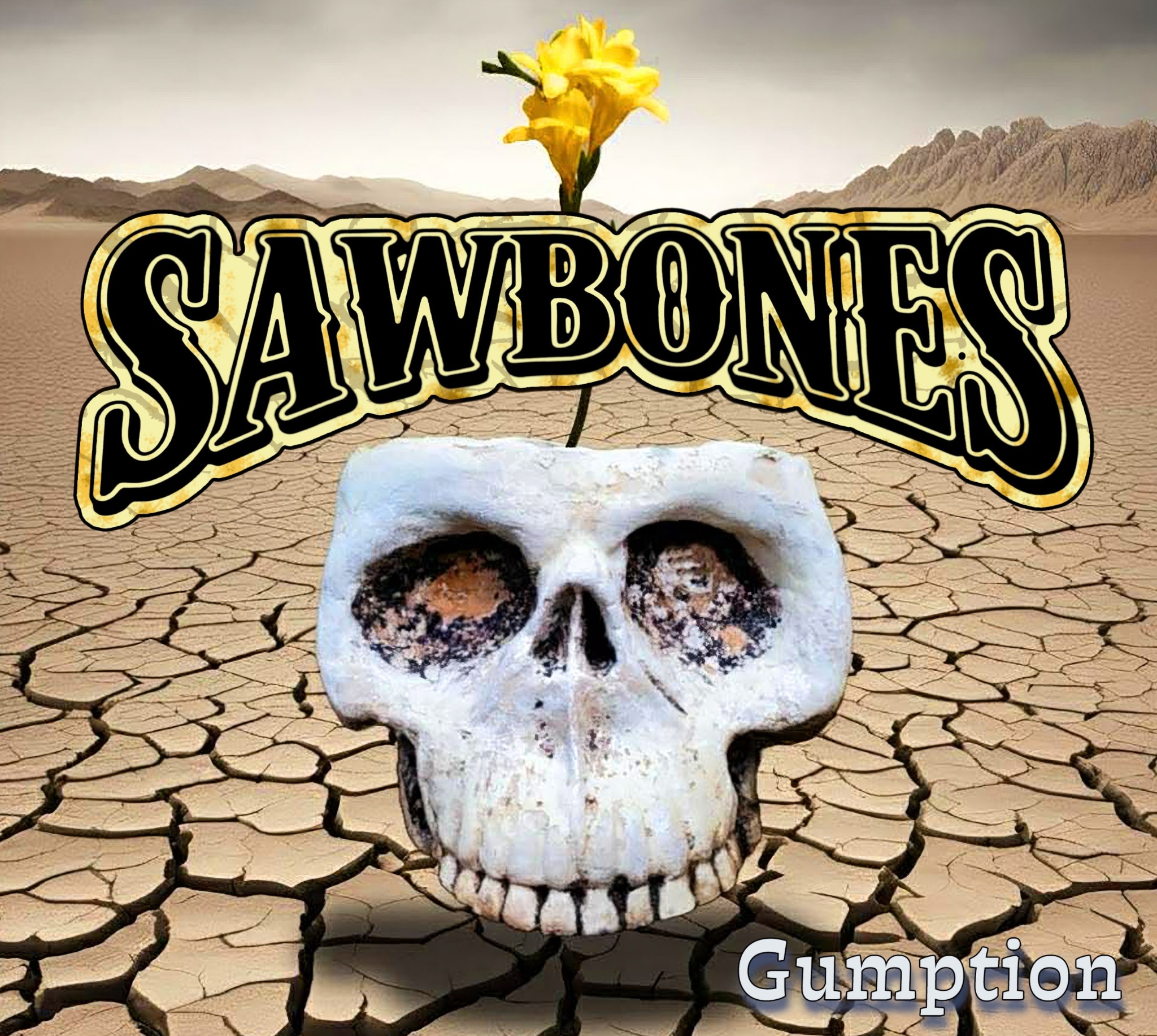 Cover artwork for the Sawbones album Gumption
